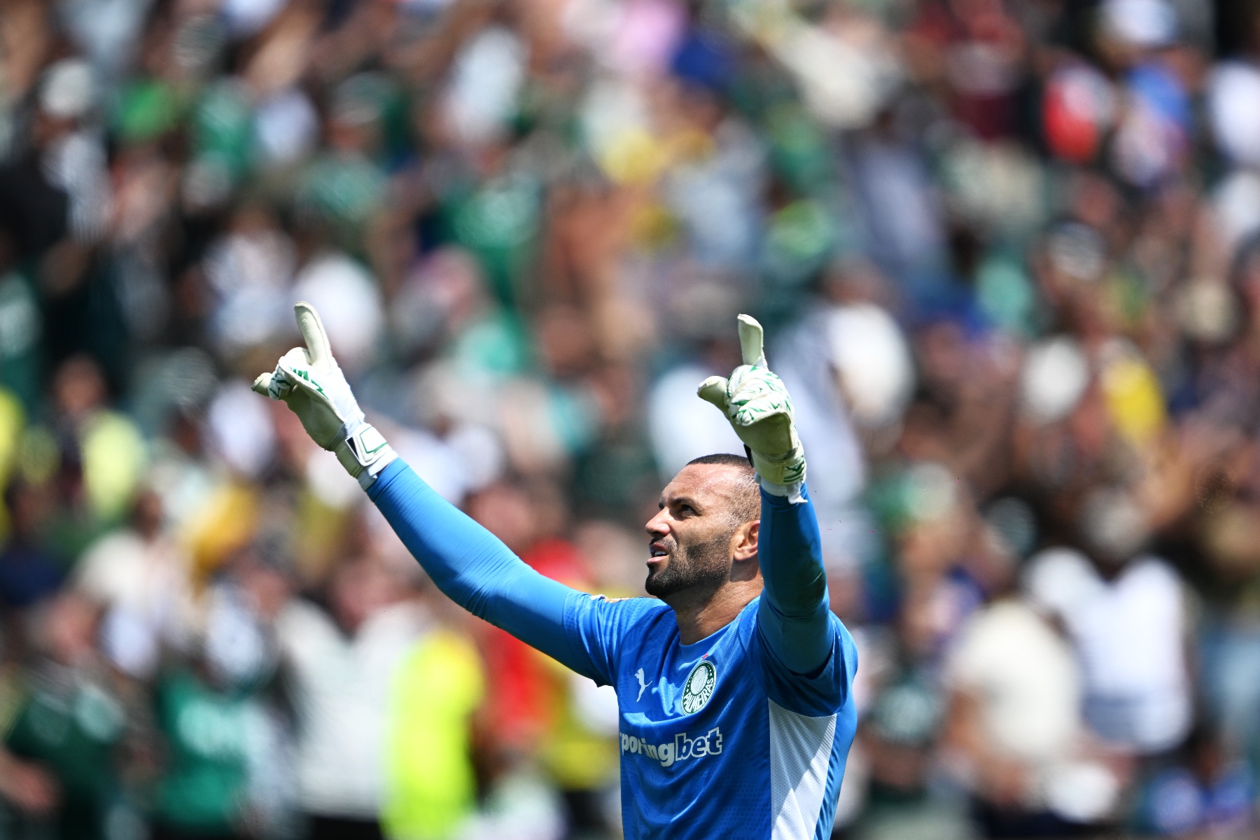 利记官网-帕尔马客场逼平，保持保级希望